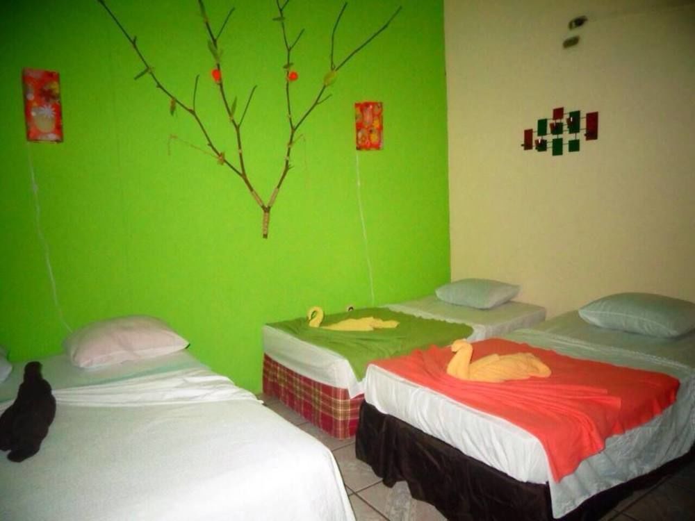 Cabinas Tortuguero Natural Екстериор снимка