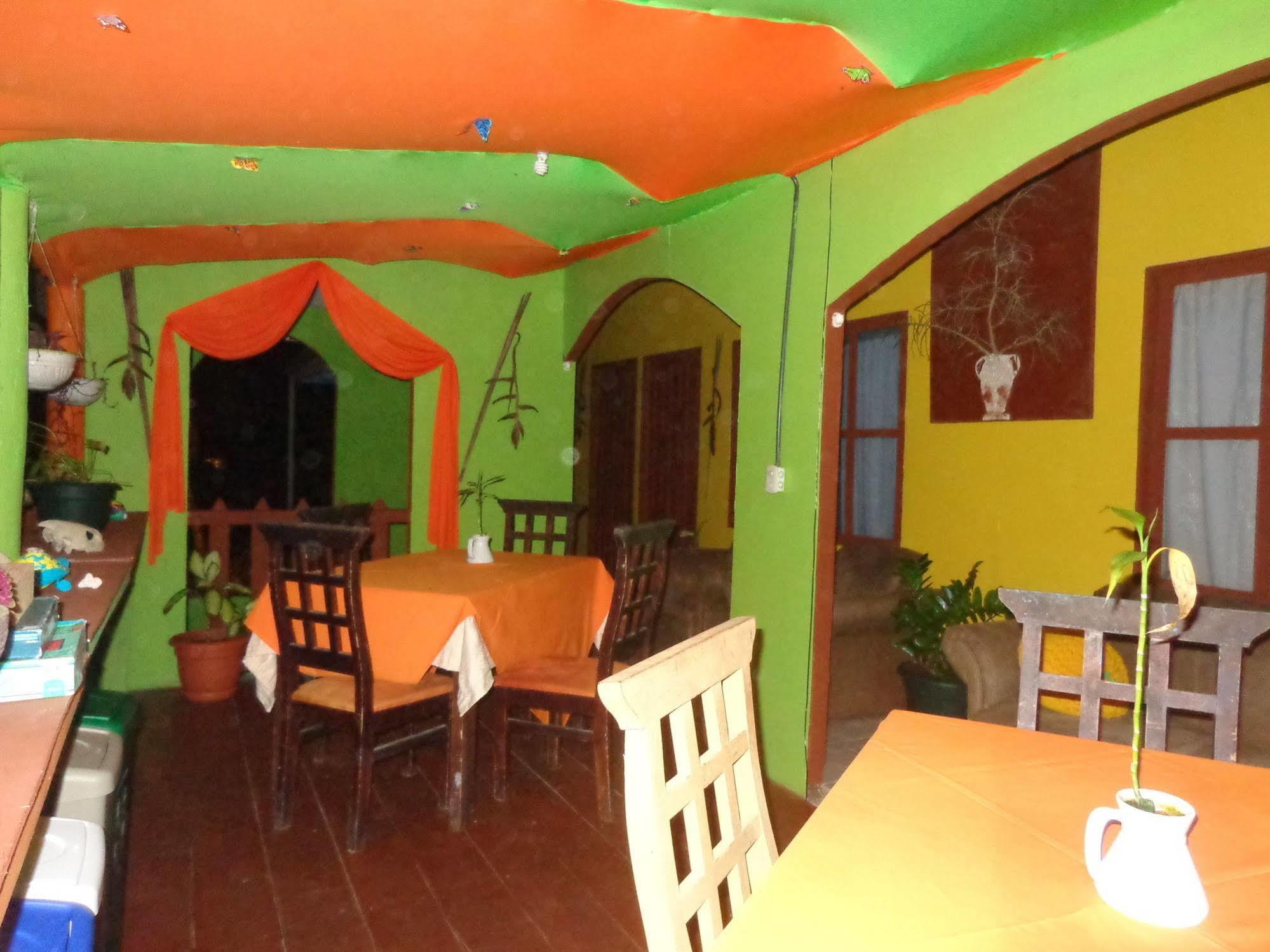 Cabinas Tortuguero Natural Hostel Екстериор снимка